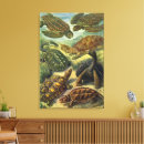 Pesquisar por das arte da tartaruga impressão de canvas Tartarugas marinhas