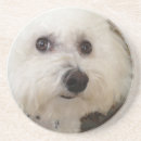 Pesquisar por frise do bichon porta copos Qualquer pessoa