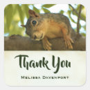 Pesquisar por roedores adesivos Esquilo