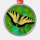 Pesquisar por andorinhas ornamentos Borboleta