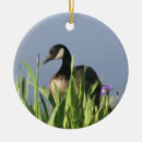 Pesquisar por goose ornamentos Animal