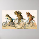 Pesquisar por bicycle pôsteres pósteres Animals