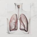 Pesquisar por respiratório sistema cartoes postais Árvore brônquica