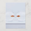 Pesquisar por solidão cartoes postais Natureza