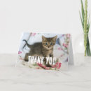 Pesquisar por animais domésticos cartoes Felino