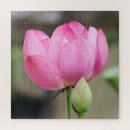 Pesquisar por lotus flower Pink