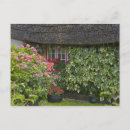 Pesquisar por flores cartoes postais Casa