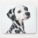 Pesquisar por dalmation Cão