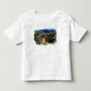 Pesquisar por grande muralha camisetas Paisagem