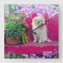 Pesquisar por cão pomeranian relogios de parede Pomeraniano