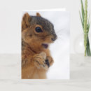 Pesquisar por funny squirrel cartoes Nature
