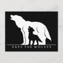 Pesquisar por lobos brancos cartoes postais Animais
