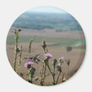 Pesquisar por tomada imas Lembrança