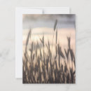 Pesquisar por altura cartoes postais Para ela