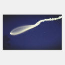 Pesquisar por espaçador adesivos Tecnologia