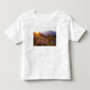 Pesquisar por lupine camisetas Flor silvestre