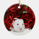 Pesquisar por hamster branco casa presentes Animal de estimação