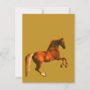 Pesquisar por cavalo amarelo cartoes postais Equestre