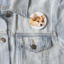 Pesquisar por cute baby botons Queen's dog
