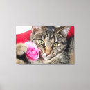 Pesquisar por flores bonito impressão de canvas Gatinho