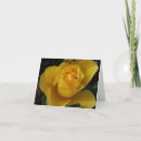 Pesquisar por variedades cartoes Rosa