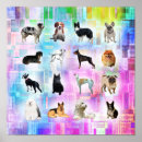 Pesquisar por cães pôsteres pósteres Ilustração