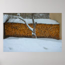 Pesquisar por lareiras pósteres Frio