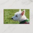 Pesquisar por westie cartao de visita Terrier