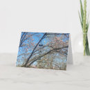 Pesquisar por ramos aniversáaio cartoes Flores