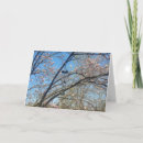 Pesquisar por flor magn Aniversário