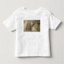 Pesquisar por elefante indiano camisetas Fauna