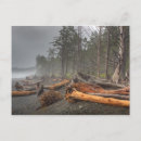 Pesquisar por olympic cartoes postais Pacific northwest