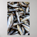 Pesquisar por peixes de comida pósteres Cozinha
