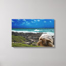 Pesquisar por das arte da tartaruga impressão de canvas Fundo