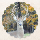 Pesquisar por antler porta copos Para todos