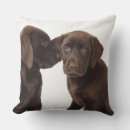 Pesquisar por cachorro labrador almofadas Animal