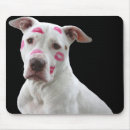 Pesquisar por kissable Pitbull