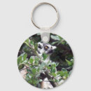 Pesquisar por lemur chaveiros Macaco