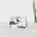 Pesquisar por cardeal fêmea cartoes Aves