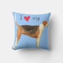 Pesquisar por foxhounds Foxhound americano