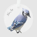 Pesquisar por jay ornamentos Natureza