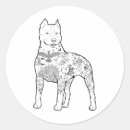 Pesquisar por carteiro adesivos Arte corporal