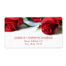 Pesquisar por vermelho rosa etiquetas Rosas vermelhas