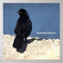 Pesquisar por guincho pôsteres pósteres Para todos