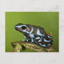 Pesquisar por ambiente cartoes postais Natureza