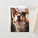 Pesquisar por imagens animais bonitos cartoes postais Fofofo