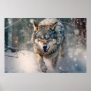 Pesquisar por lobo colorido pósteres Selvagem