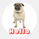 Pesquisar por pug adesivos Filhotes