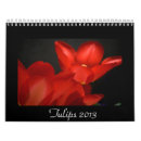 Pesquisar por tulipa calendarios Plantas