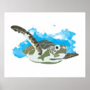 Pesquisar por design da tartaruga pôsteres pósteres Para todos
